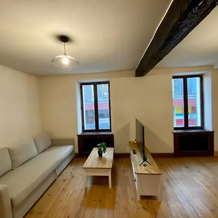 Apartamento De 50m2 Au Centre De Cusset